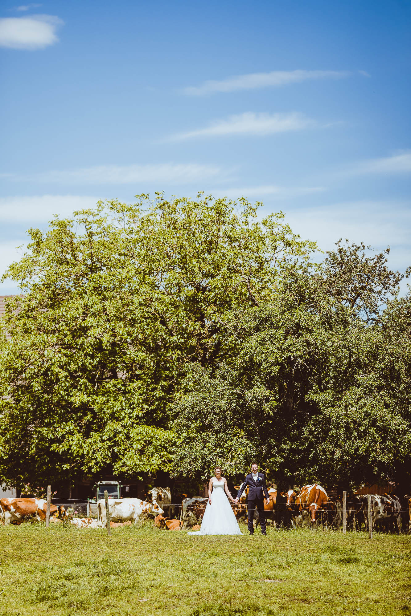 Export x3 1DX27521 Hochzeit 2020 Claudia & Marco 2